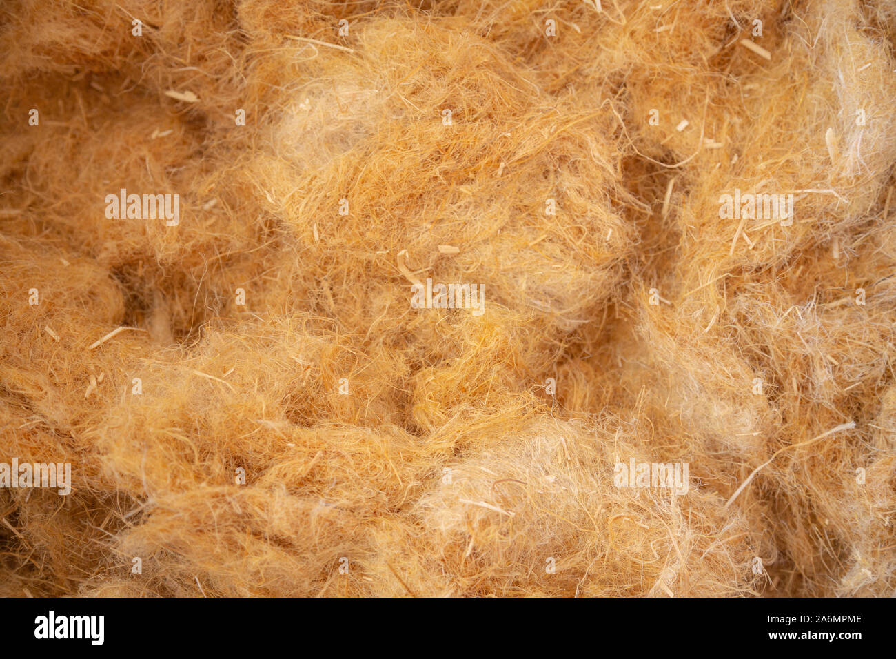 Nahaufnahme von Hanf, Wolle, eine ökologische Dämmung, die umweltfreundlich ist und vollständig recycelbar Stockfoto
