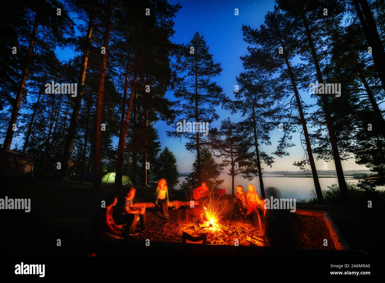 Freunde in Wald in der Nähe von Feuer auf einem Campingplatz. Gruppe von Menschen unter dem Nachthimmel mit Sternen genießen Sie Natur Urlaub am Campingplatz. Stockfoto