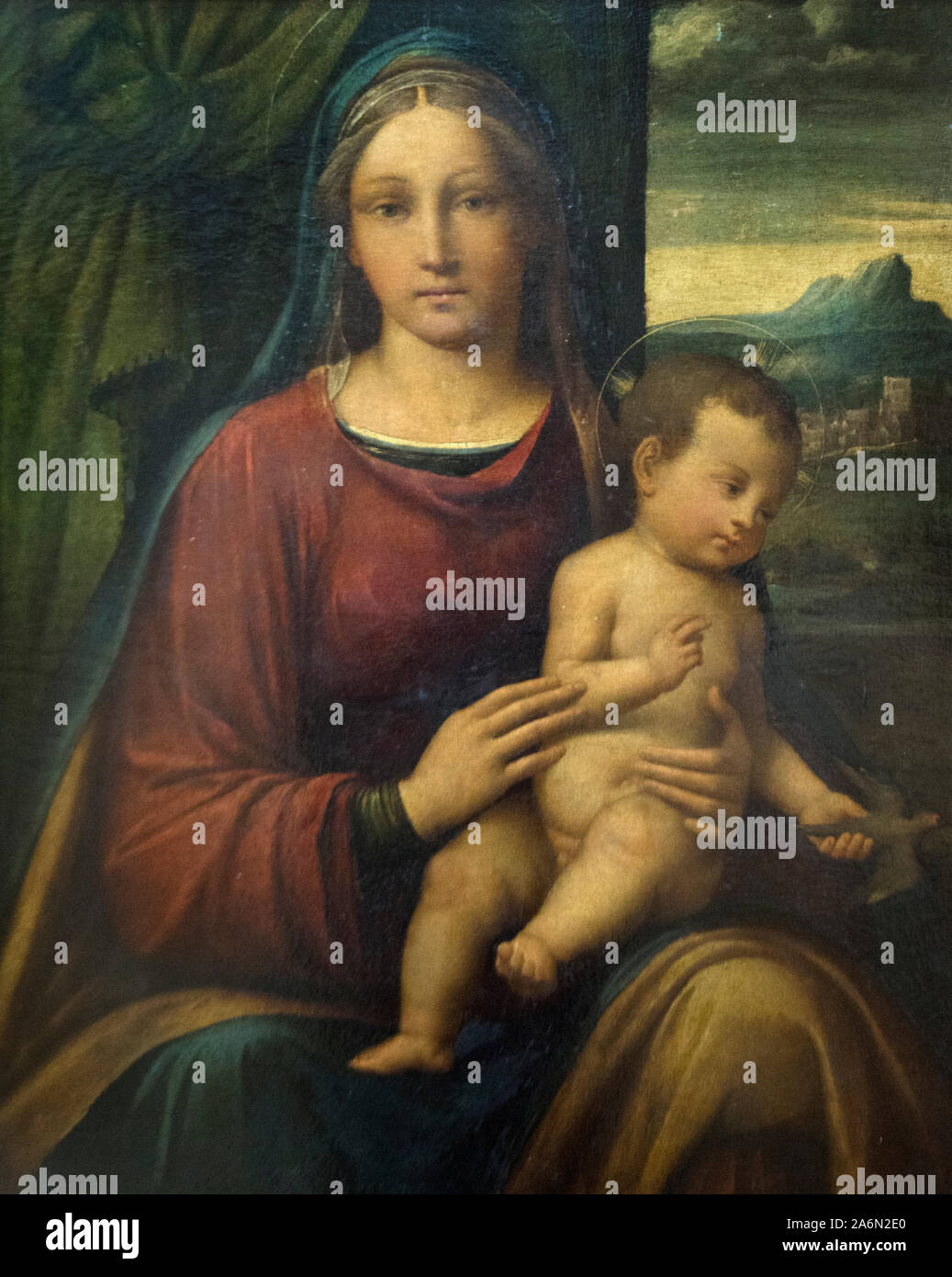 Garofalo (Benvenuto Tisi) - Madonna mit Chilld Stockfoto