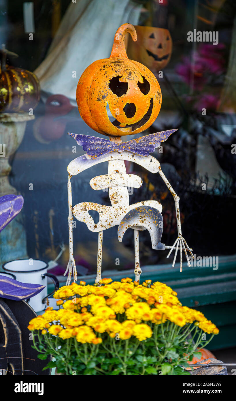 Typische saisonale grinsenden Kürbis Kopf und Skelett Körper auf Anzeige außen ein Shop in Kennebunkport, Maine, New England, USA Stockfoto