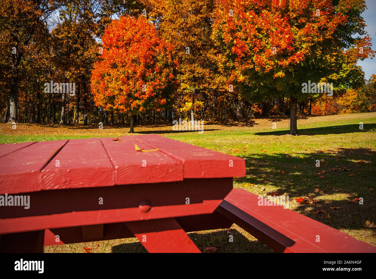 New England Park Stockfoto
