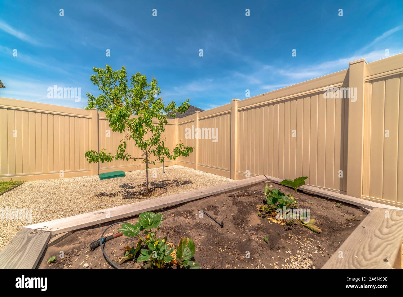 In der Nähe von growbeds uo im Hinterhof eines Hauses mit Baum Kies und Zaun Stockfoto