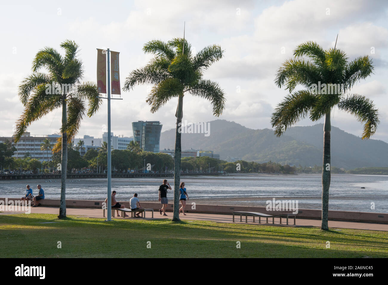 Palmenumsäumte Promenade entlang der Uferpromenade am Cairns, einer touristischen Destination im tropischen Norden von Queensland, Australien Stockfoto
