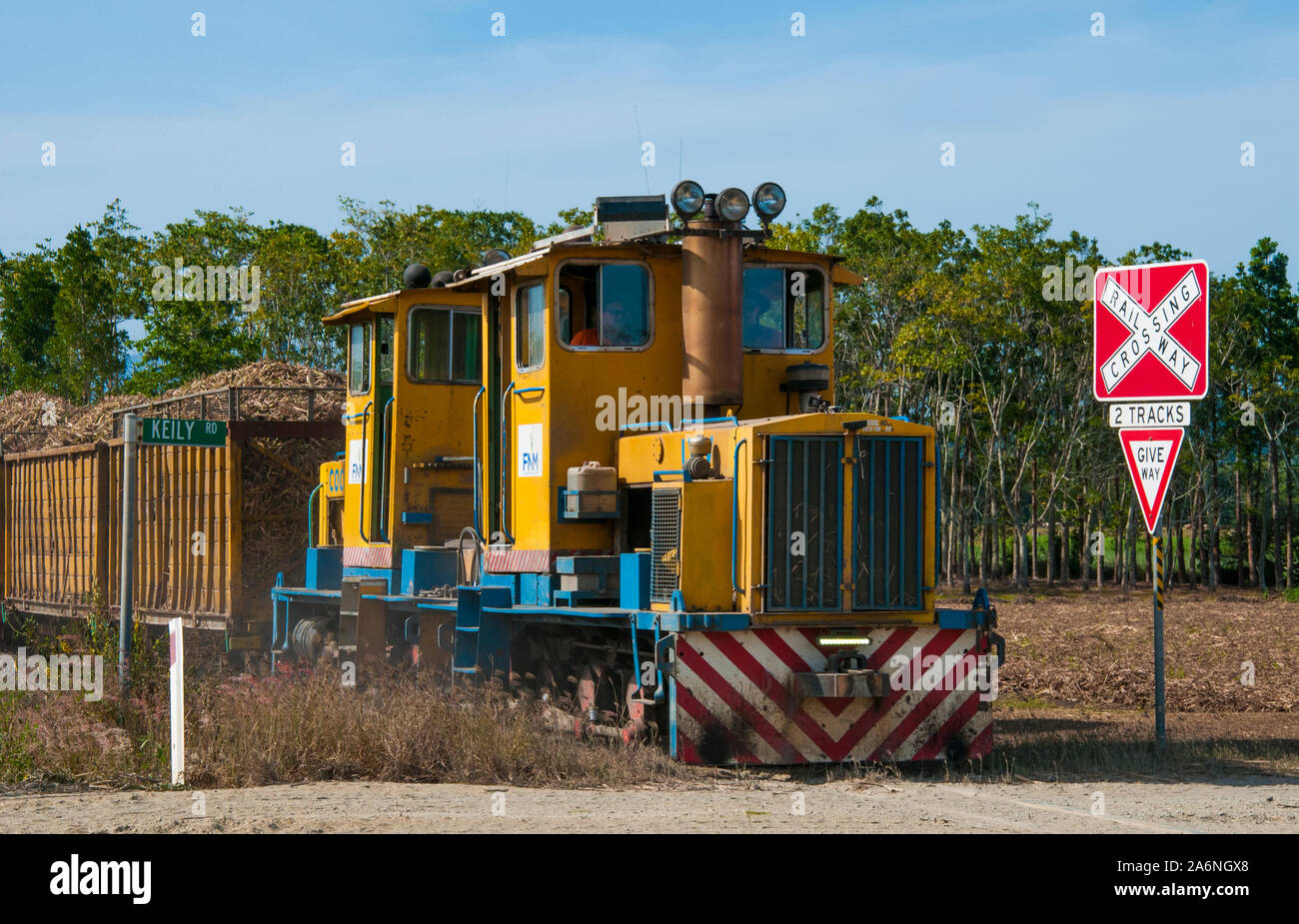 Mit einem Zuckerrohr Zug in der Nähe von Mossman, Far North Queensland, Australien Stockfoto