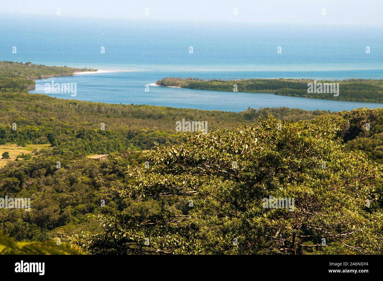 Mündung des Daintree River von Mt Alexandra Lookout, North Queensland, Australien gesehen Stockfoto