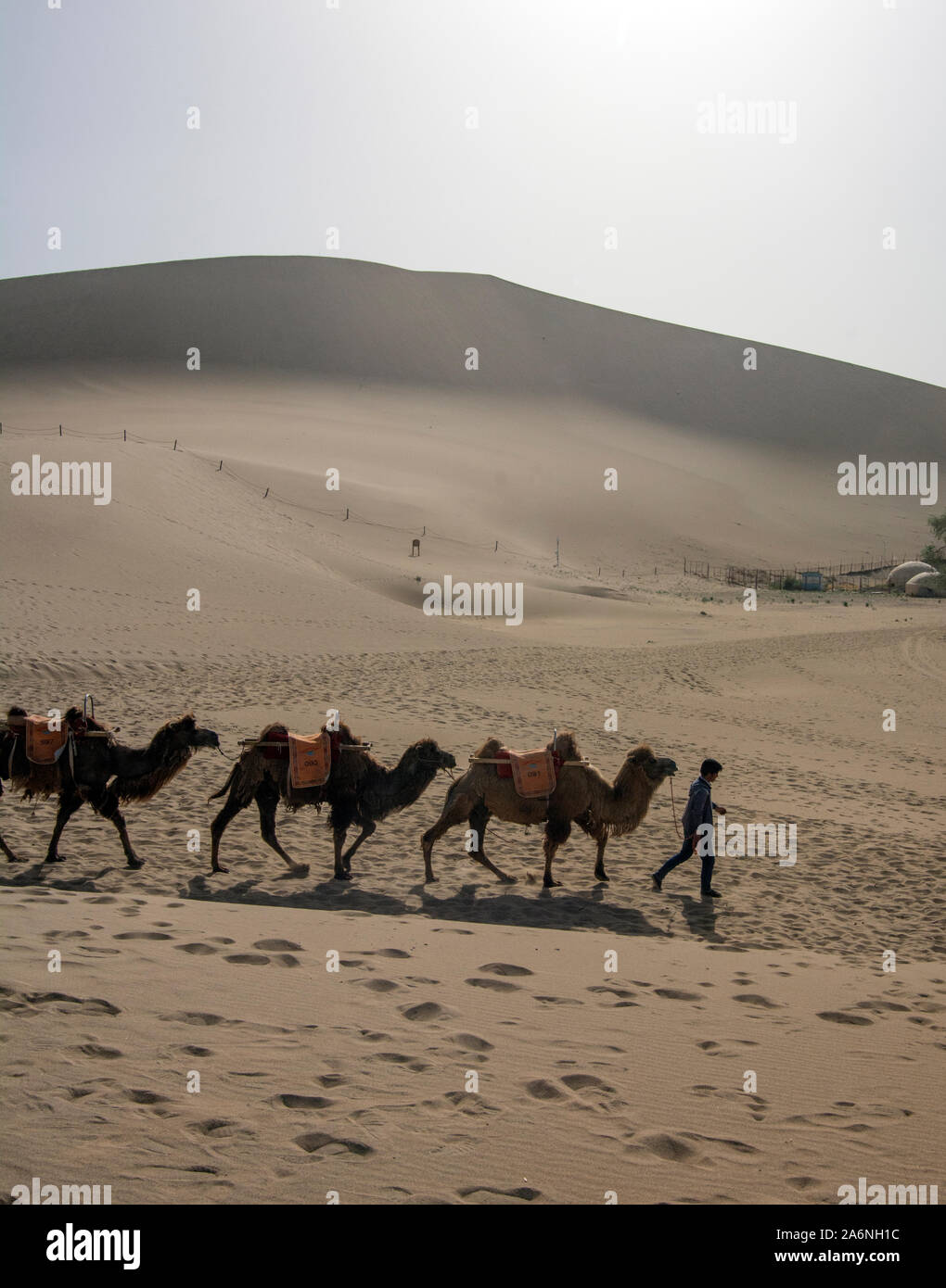 Caravan crossing riesigen Dünen in der Wüste Gobi, Shenzhen, China Stockfoto