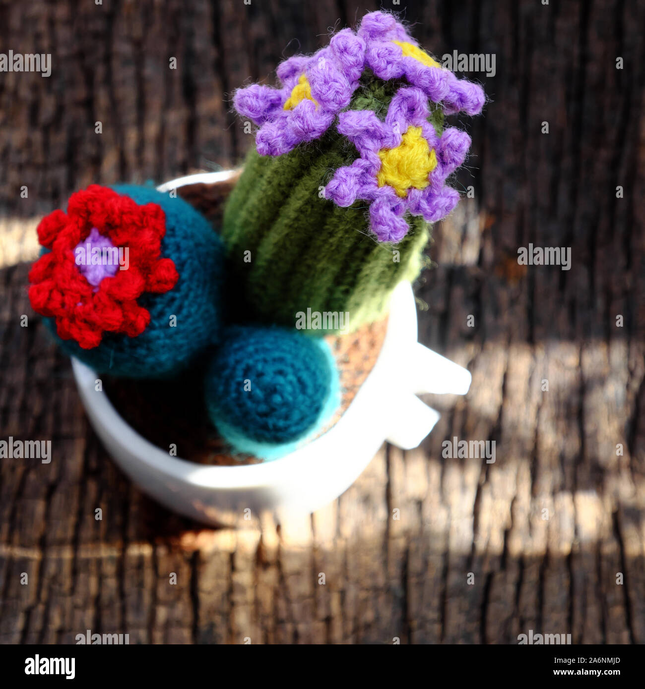 Schöne handgemachte Produkt für dekorieren, Kakteen und Cactus flower Crochet von grün Garn, ornament Blumentopf auf Tisch im Freien in der Morgensonne Stockfoto