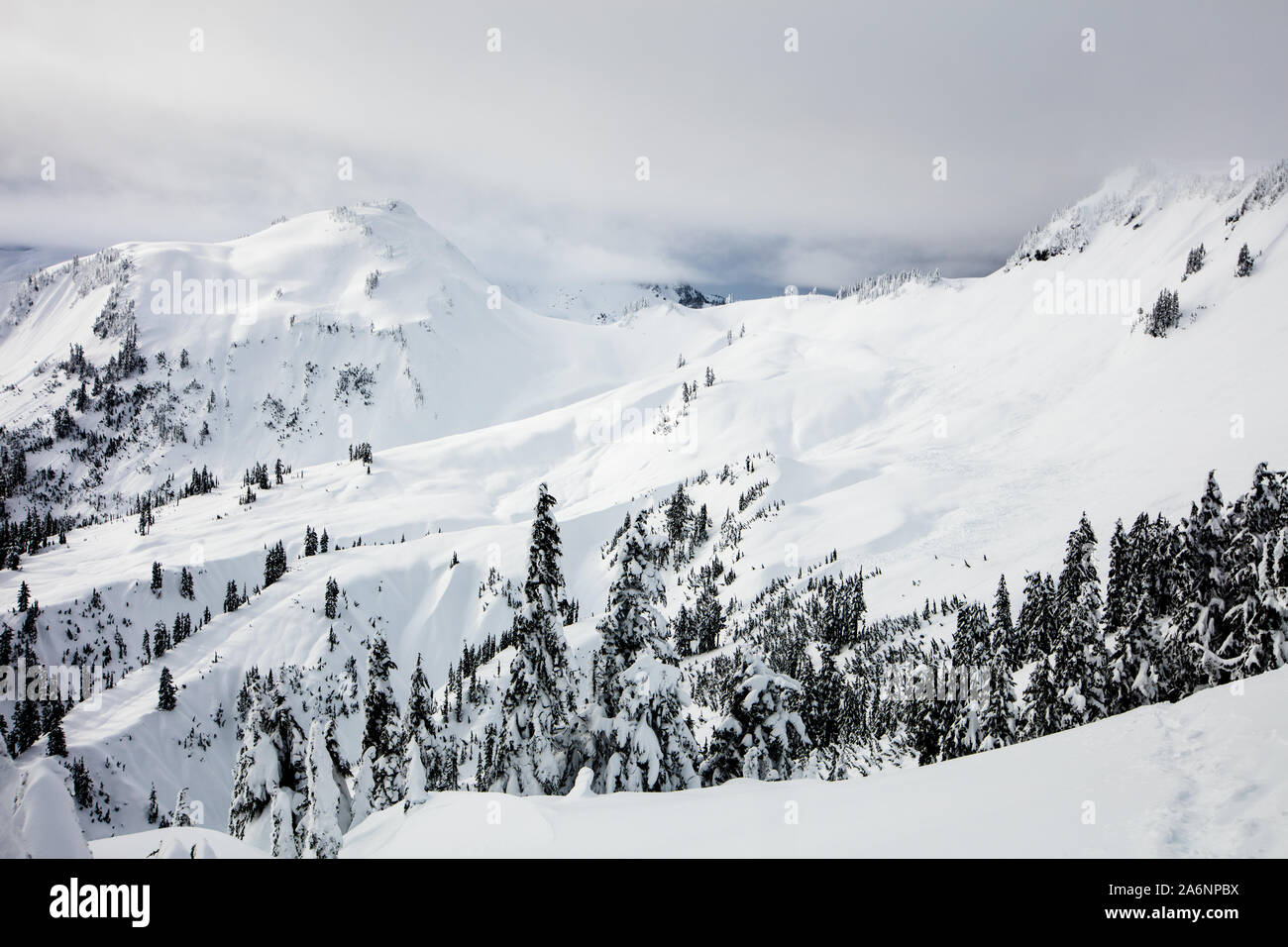 Backcountry Schneeschuhwandern Route entlang der North Cascades. Artist Point, Mount Baker Snoqualmie National Forest, Washington State, USA Stockfoto