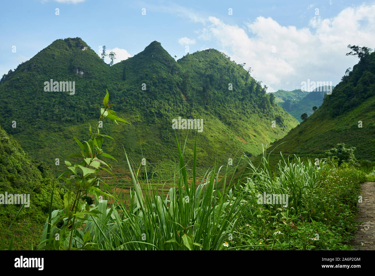 Vietnam-Landschaft Stockfoto