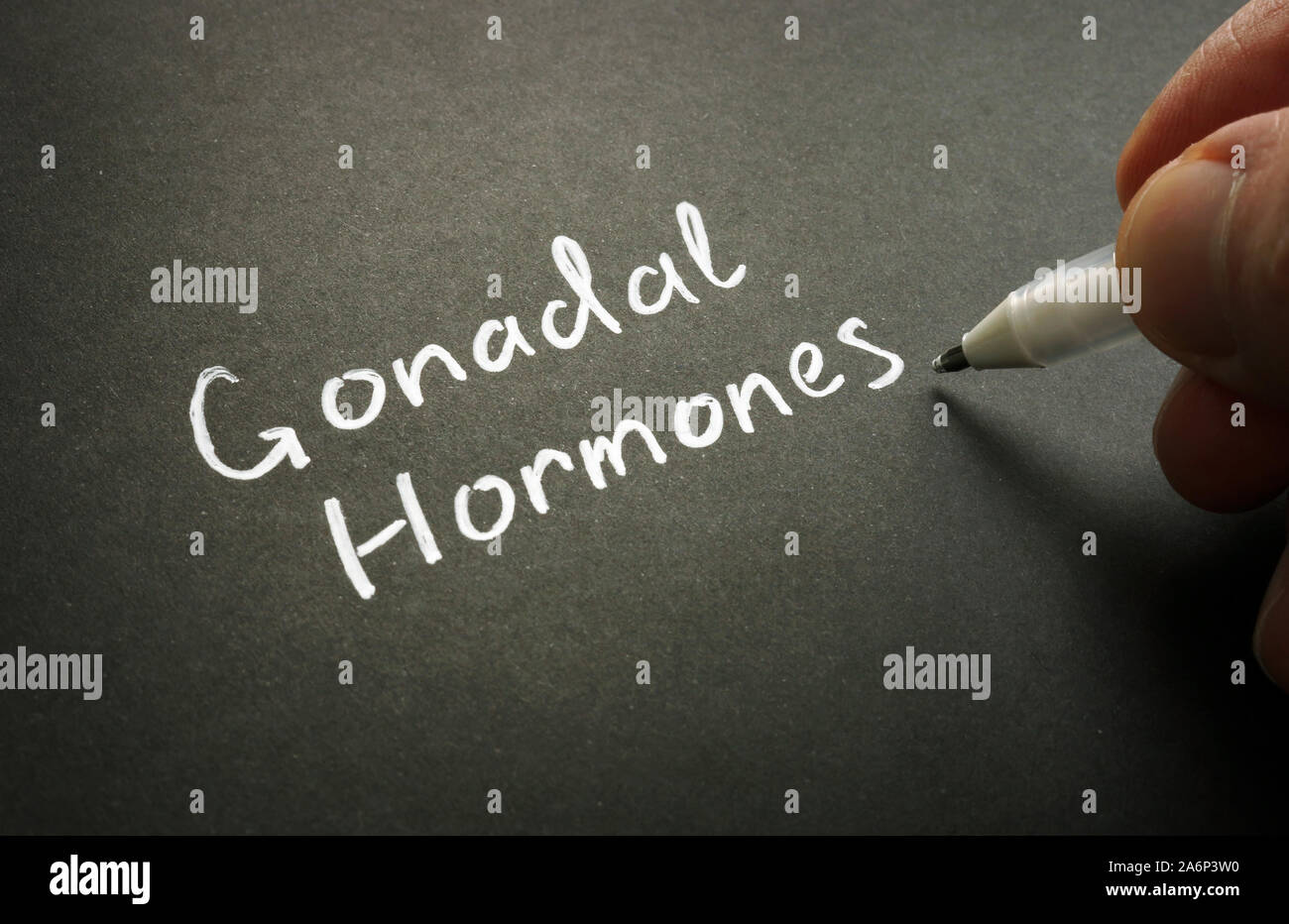 In den Gonaden Hormone handschriftlich auf der schwarzen Seite. Stockfoto