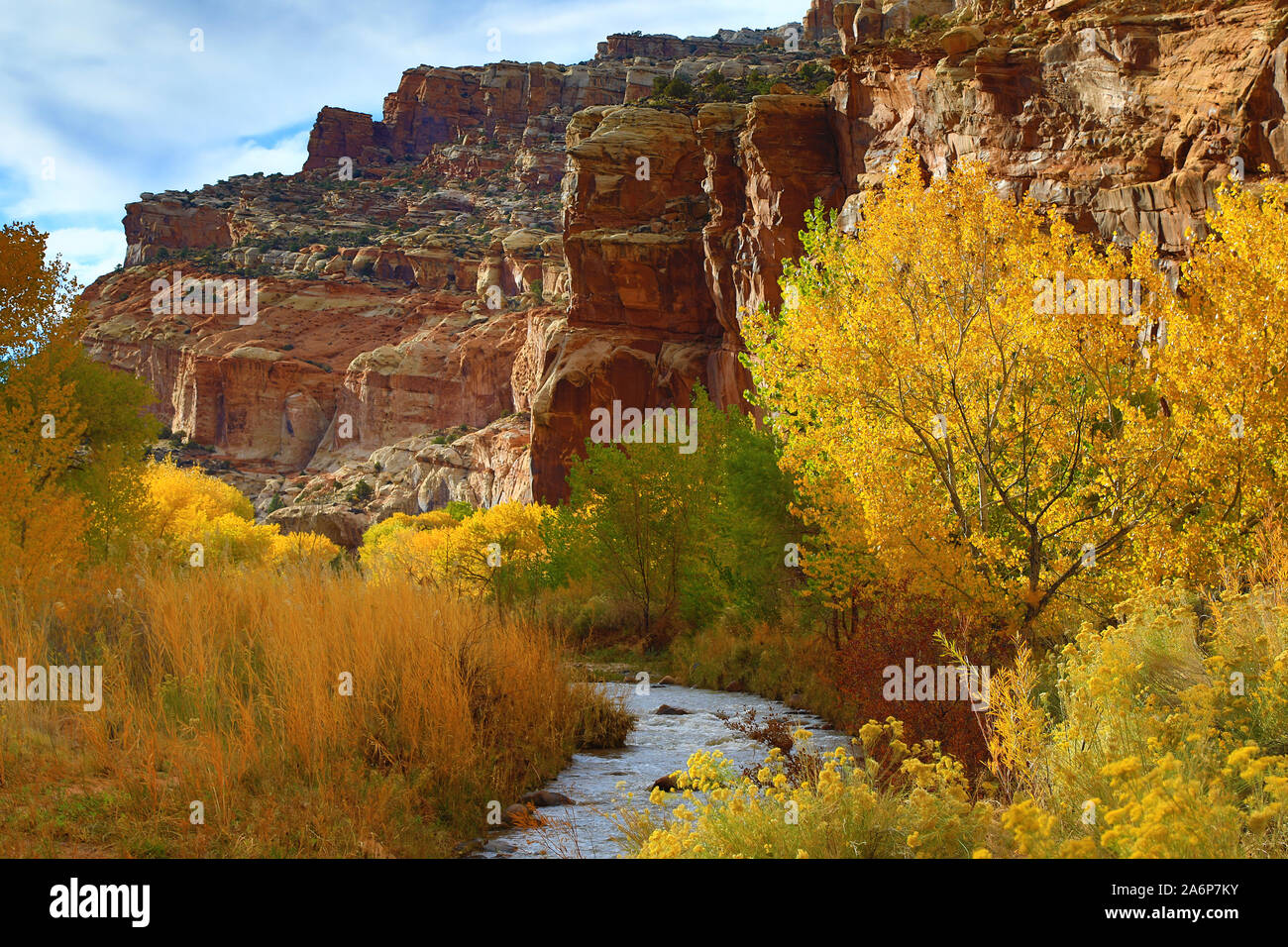 Dies ist ein Blick auf die Farben des Herbstes entlang der Fremont River und rote Felsen im Capitol Reef National Park, Utah, USA. Stockfoto