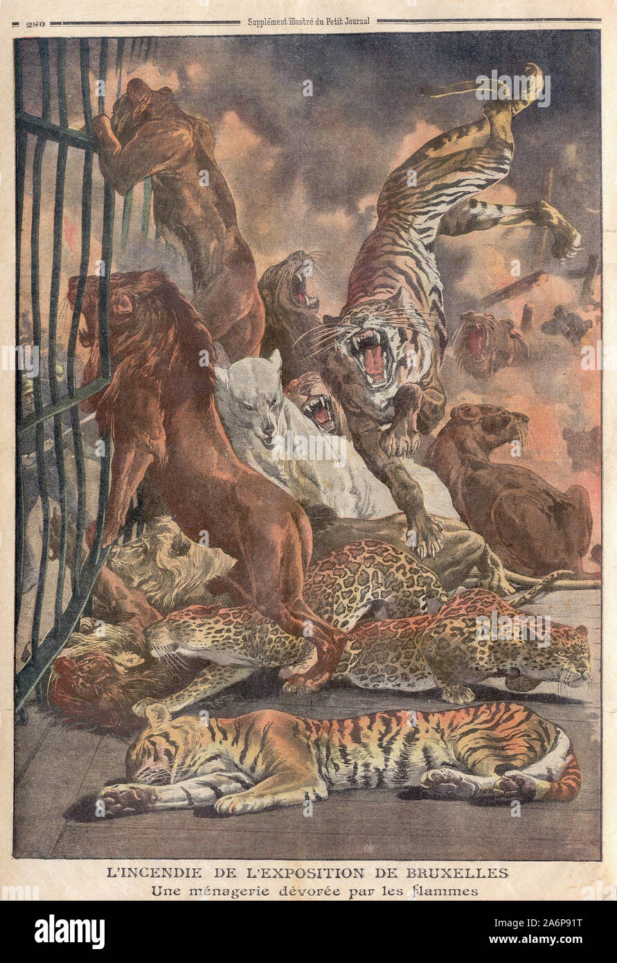 L'incendie DE L'EXPOSITION DE BRUXELLES Une ménagerie dévorée par les flammes - DAS FEUER DES BRÜSSELER AUSSTELLUNG eine Menagerie von den Flammen verschlungen - In "Le Petit Journal" illustrierte Zeitung - Stockfoto