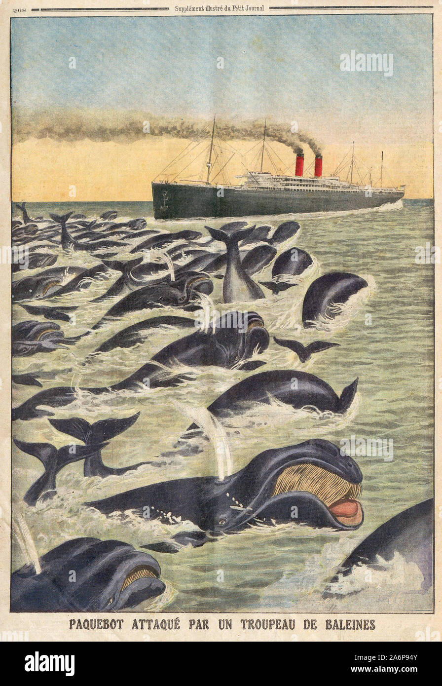 Paquebot attaqué par un troupeau de Ré - an Bord durch eine Herde von Walen attackiert - In "Le Petit Journal" illustrierte Zeitung - Stockfoto