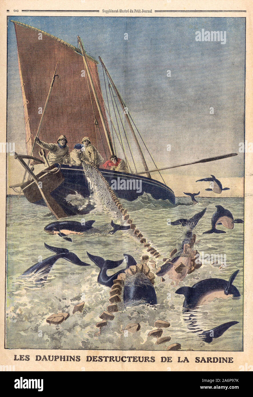 LES DAUPHINS DESTRUCTEURS DE LA SARDINE - DIE ZERSTÖRERISCHE DELFINE VON SARDINE - In "Le Petit Journal" illustrierte Zeitung - Stockfoto