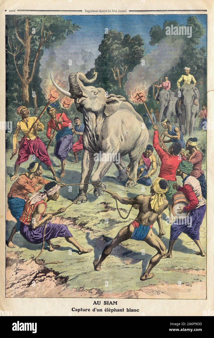 AU SIAM Capture d'un éléphant blanc - SIAM Erfassen eines weißen Elefanten - In "Le Petit Journal" illustrierte Zeitung - Stockfoto