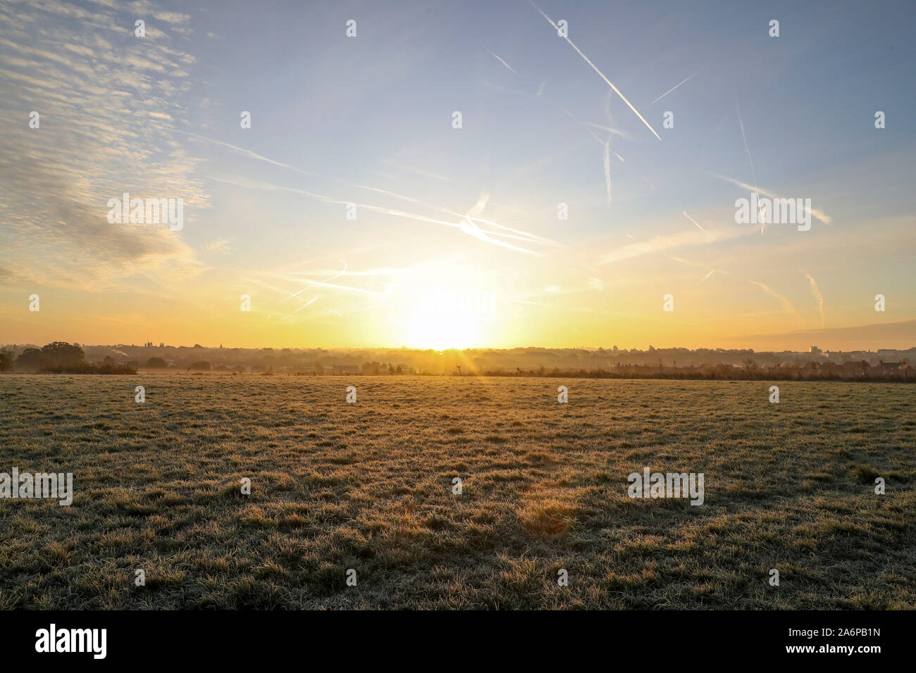 Ein Hund läuft durch ein Frost Feld in der Nähe von Bracknell, Berkshire, wo die Temperaturen über Nacht getaucht und produzierte Frost in Teilen des Bereichs abgedeckt. Stockfoto