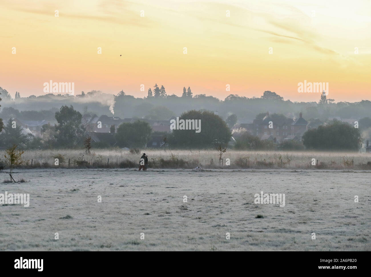 Ein Hund läuft durch ein Frost Feld in der Nähe von Bracknell, Berkshire, wo die Temperaturen über Nacht getaucht und produzierte Frost in Teilen des Bereichs abgedeckt. Stockfoto