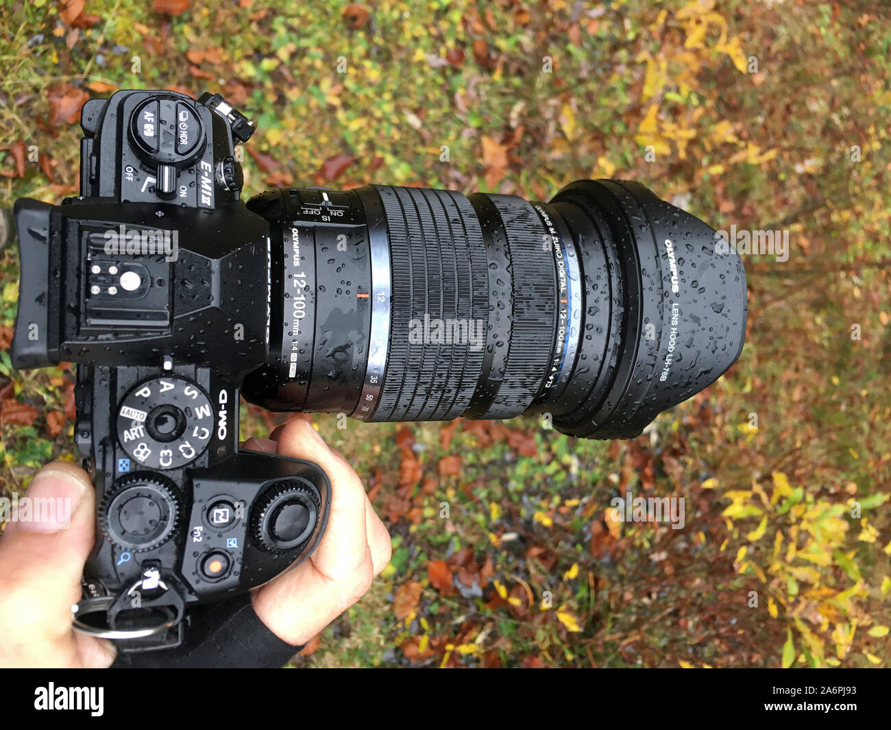 Herbst Stockfoto