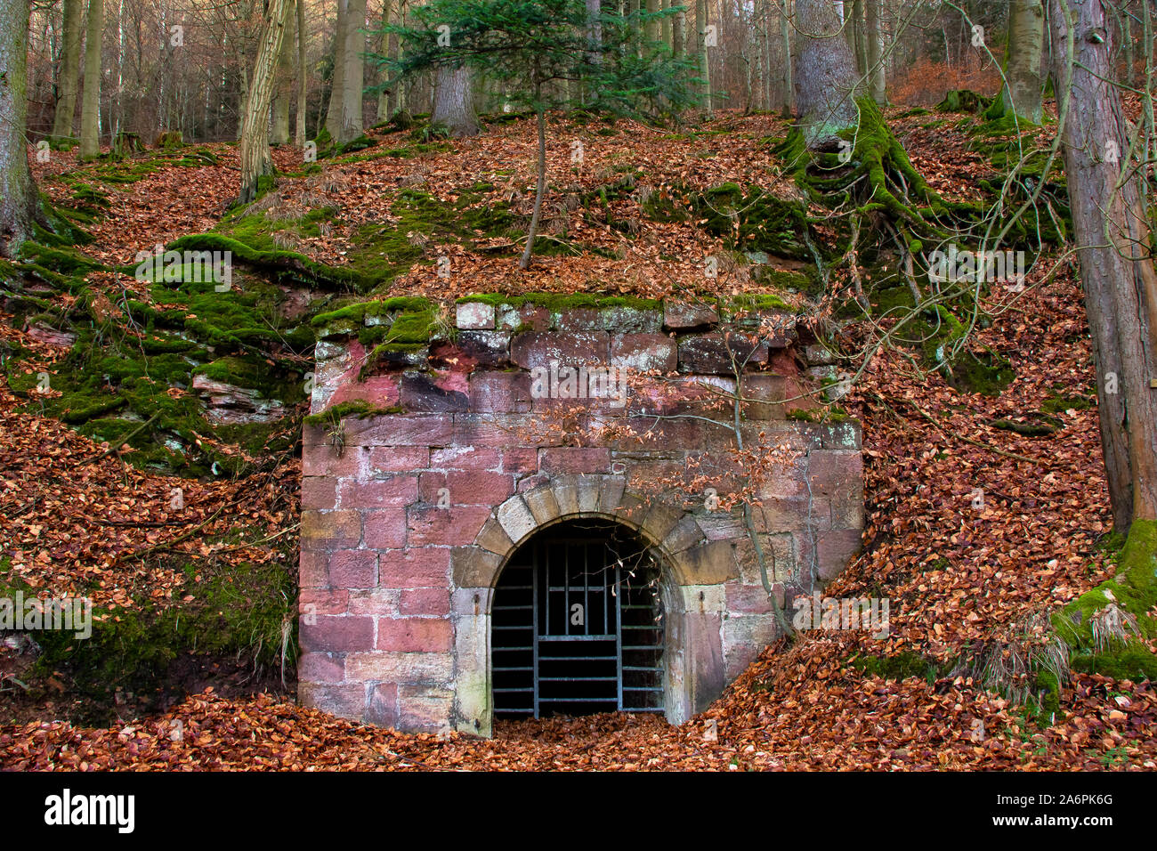 Wildecker Fotos und Bildmaterial in hoher Auflösung Alamy