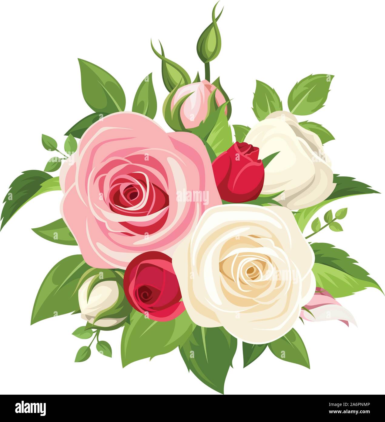 Vektor Bouquet von roten, rosa und weißen Rosen und Knospen auf einem weißen Hintergrund. Stock Vektor