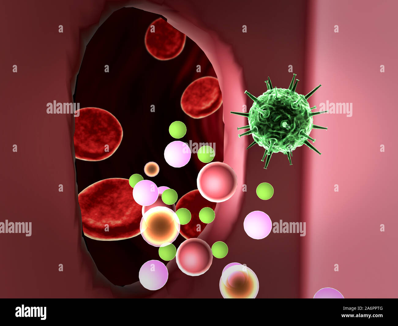 Virus in die Zelle, die Vermehrung des Virus in die Leberzelle, Viren in die Zelle, Viren infizieren die Zelle, virusangriff die Leberzellen, Stockfoto