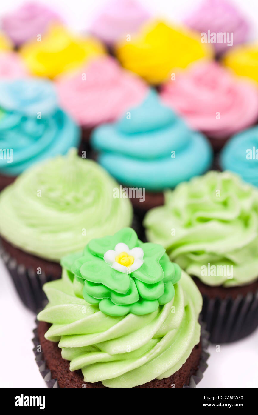 Cupcakes oder Tasse Kuchen mit Puderzucker oder Reifbildung, Rosa, Gelb, Violett und Creme mit grünen Blättern, Rose und Blumendekorationen fotografiert auf einem weißen Ba Stockfoto