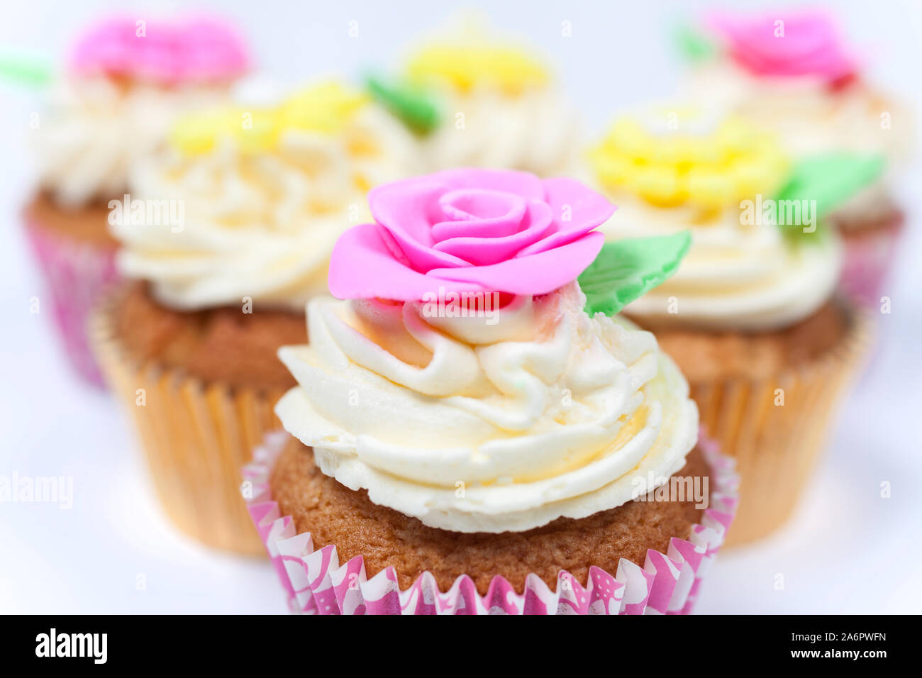 Cupcakes oder Tasse Kuchen mit Puderzucker oder Reifbildung, Rosa, Gelb und Creme mit grünen Blättern, Rose und Blumenschmuck auf weißem Hintergrund fotografiert. Stockfoto