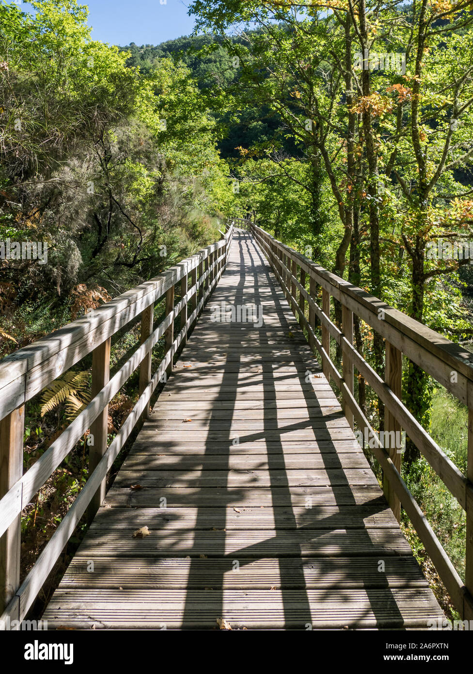 Holzsteg am Fluss Mao Canyon Wanderweg, Ourense, Galizien, Spanien Stockfoto