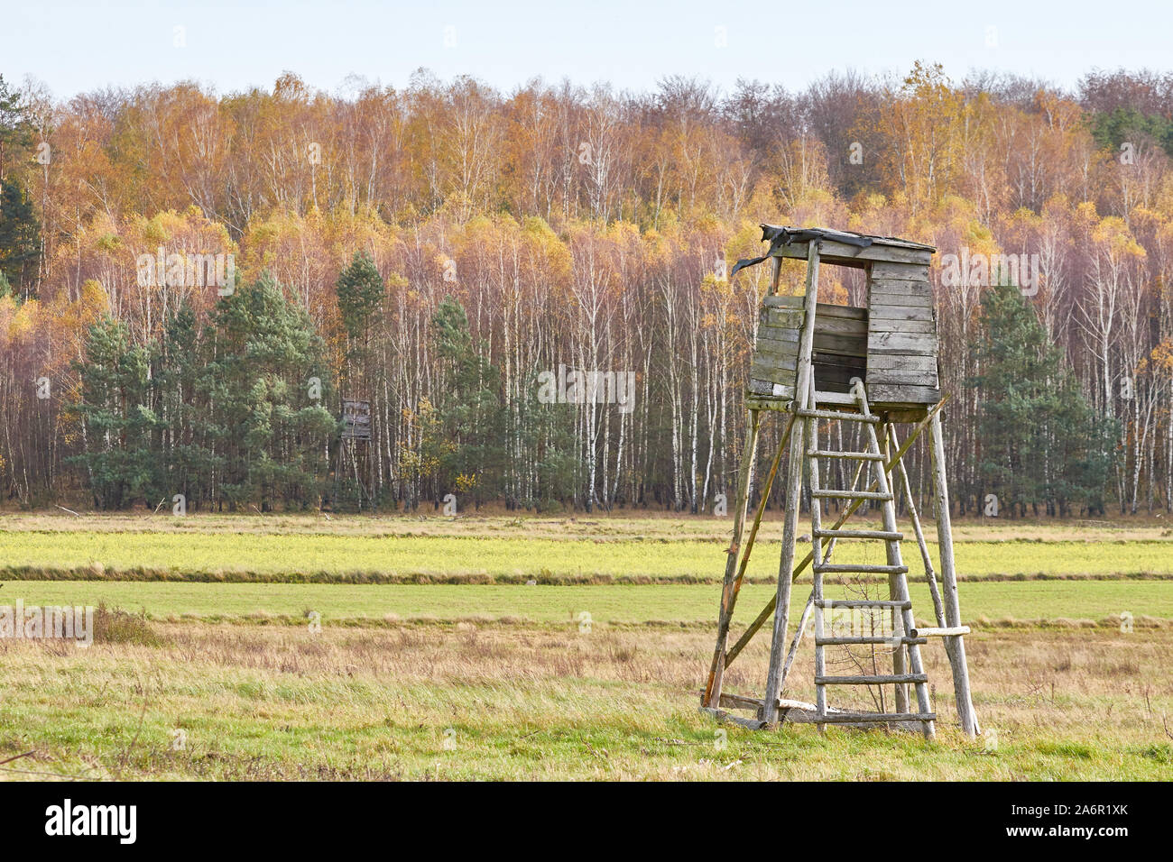Jagd Turm in einem Feld mit herbstlichen Wald im Hintergrund, selektive konzentrieren. Stockfoto