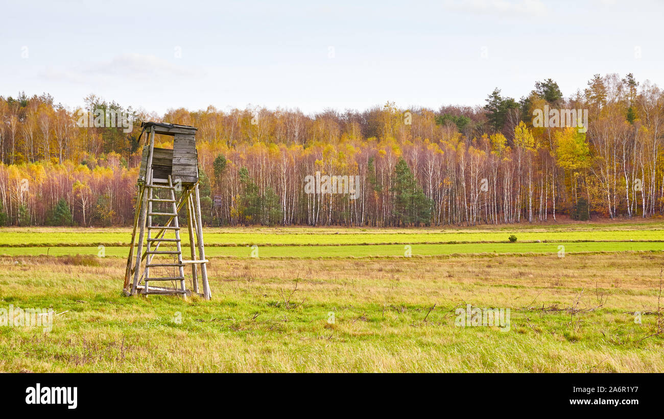 Jagd Turm in einem Feld mit herbstlichen Wald im Hintergrund, selektive konzentrieren. Stockfoto