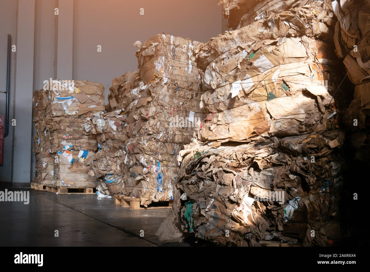 Verwendet, Karton, Polyethylen und Kunststoff in Ballen bei Fertigproduktlager auf modernen Abfall Sortier- und Aufbereitungsanlage gedrückt wird. Stockfoto