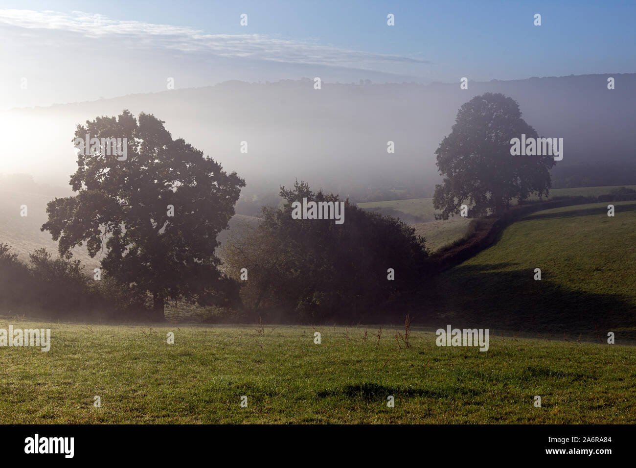 Landwirtschaftliches Feld in der Nähe von Dunsford, Landwirtschaft, Devon, dramatische Landschaft, dramatische Himmel, England, englische Kultur, Dartmoor National Park, Bauernhof, Stockfoto