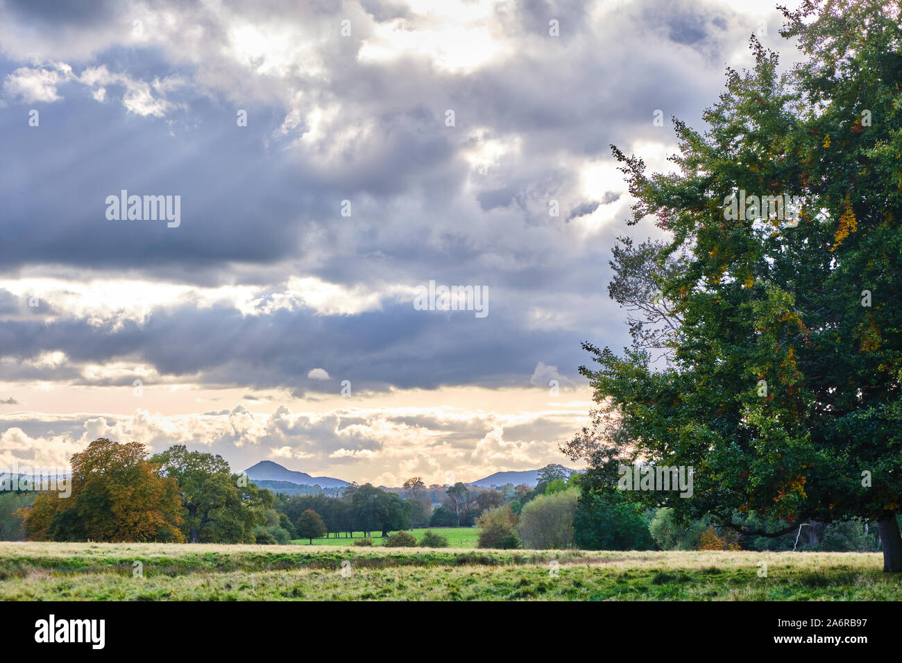 Sonnenstrahlen über die englische Landschaft von Shropshire Landschaft in der Nähe von Attingham Park Stockfoto
