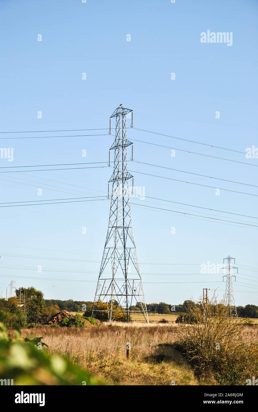 Strommasten in der Landschaft von Shropshire Stockfoto