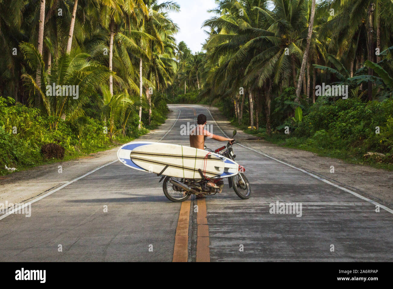 Mann reiten Motorrad mit Surfboards in Coconut road Palmen philippinische Stockfoto