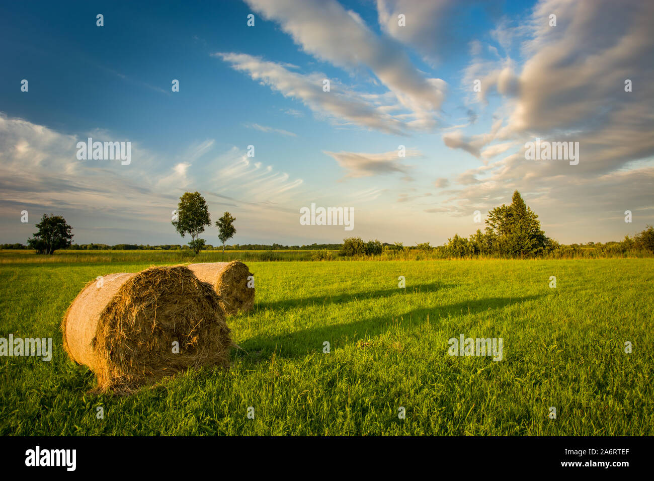 Heuballen auf der grünen Wiese, Schönheit Wolken am blauen Himmel Stockfoto