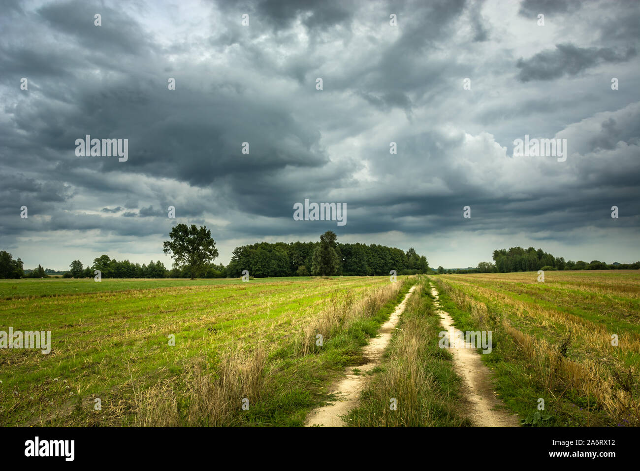 Ländliche Straße durch Felder, Bäume und graue Wolken am Himmel Stockfoto