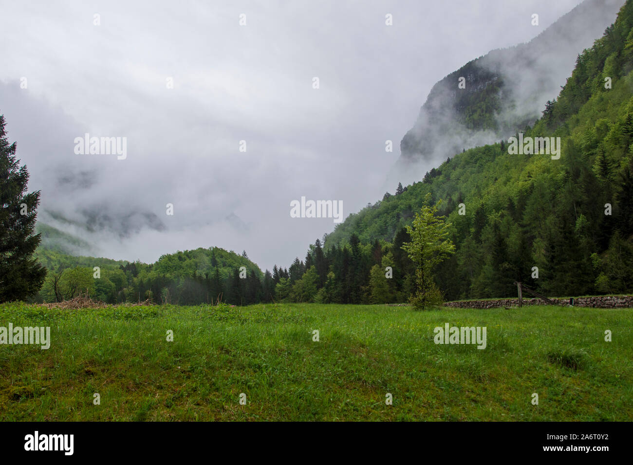 Grüne Wiese im Vordergrund und Berg mit Wald, Wolken und Nebel im Hintergrund, Bild von cimolais Italien. Stockfoto