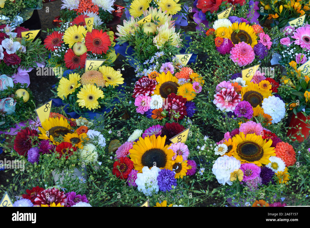 Blumen für den Verkauf in der Viru Straße. Altstadt von Tallinn, das zum Weltkulturerbe der Unesco gehört. Tallinn, Estland Stockfoto