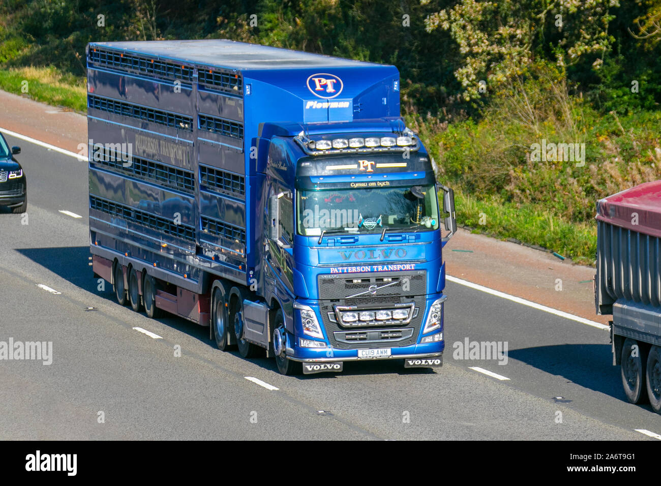 Patterson Tiertransport Transport-LKW, Lkw, Transport, Lastwagen, Cargo, Fahrzeug, Lieferung, den gewerblichen Verkehr, Industrie, Supply Chain Fracht, auf der M6 an der Lancaster, Großbritannien Stockfoto