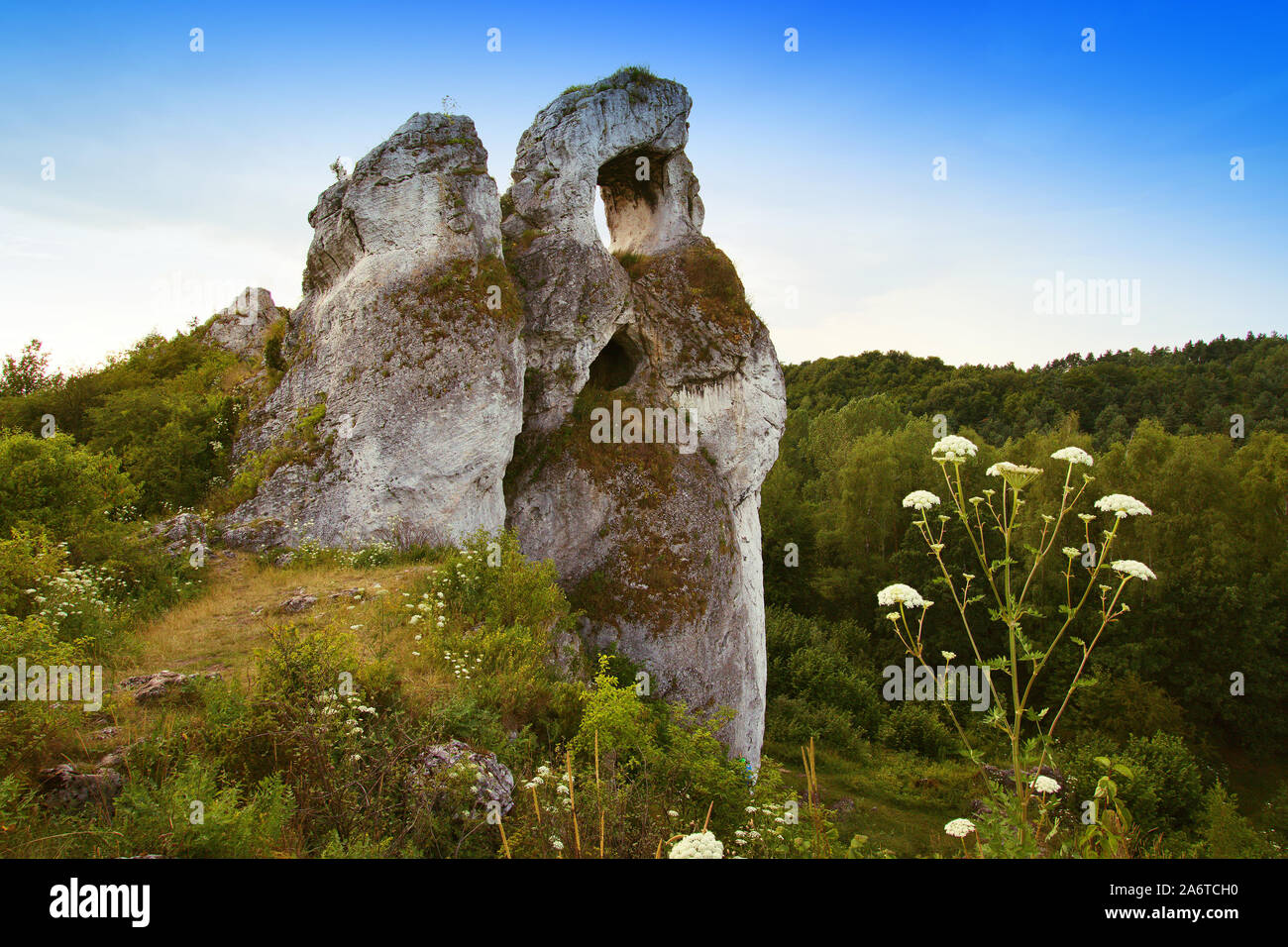 Kalksteinfelsen in Polen, einzigartige Steine, Felsen gegen den blauen Himmel - Jura Krakowsko-Cz ęstochowska, geographische Makroregion im südlichen Polen Stockfoto