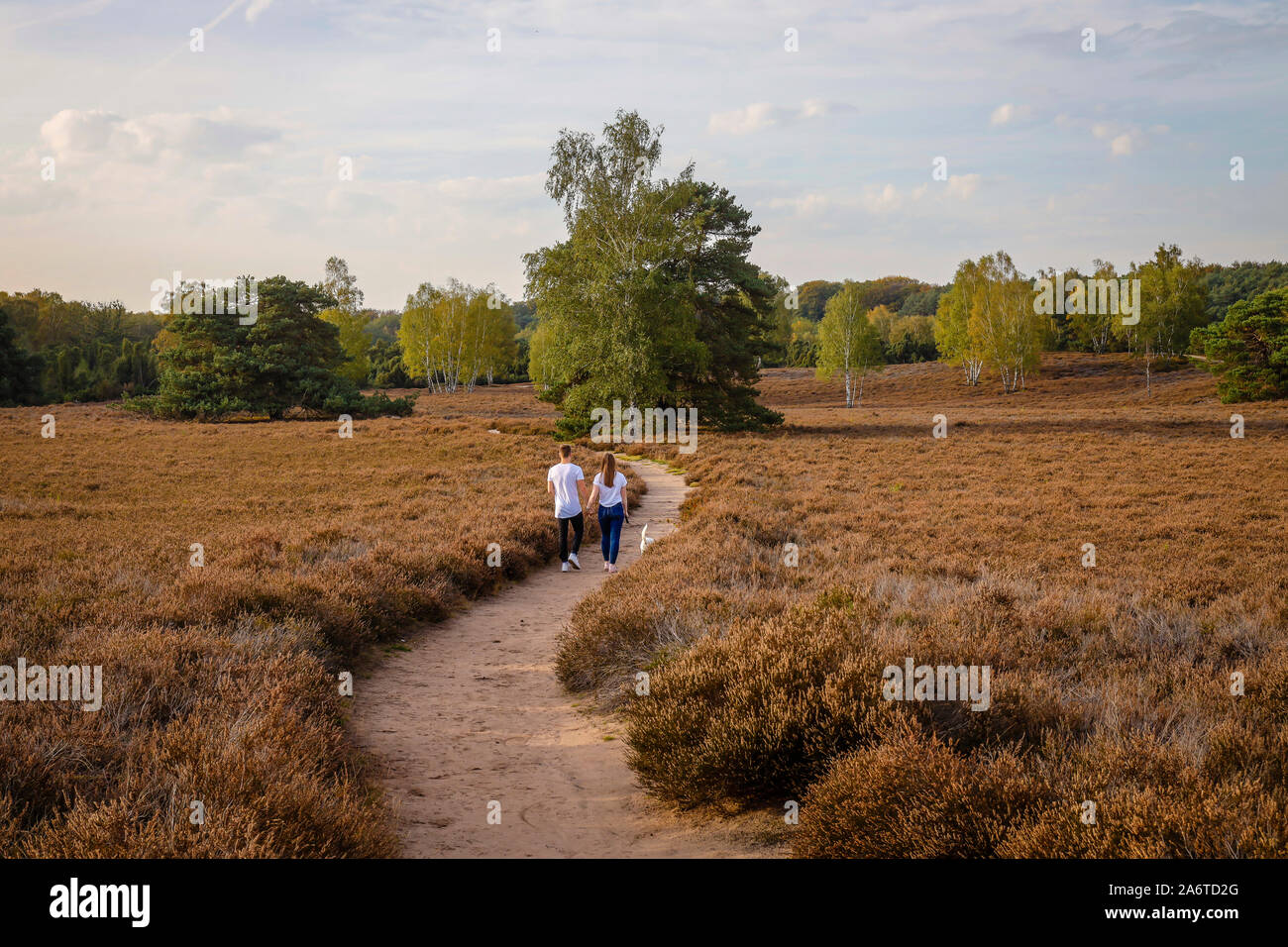 Haltern am See, Münsterland, Nordrhein-Westfalen, Deutschland - Westruper Heide, ein junges Ehepaar mit Hund, Spaziergänge Hand in Hand auf einem Pfad durch die h Stockfoto