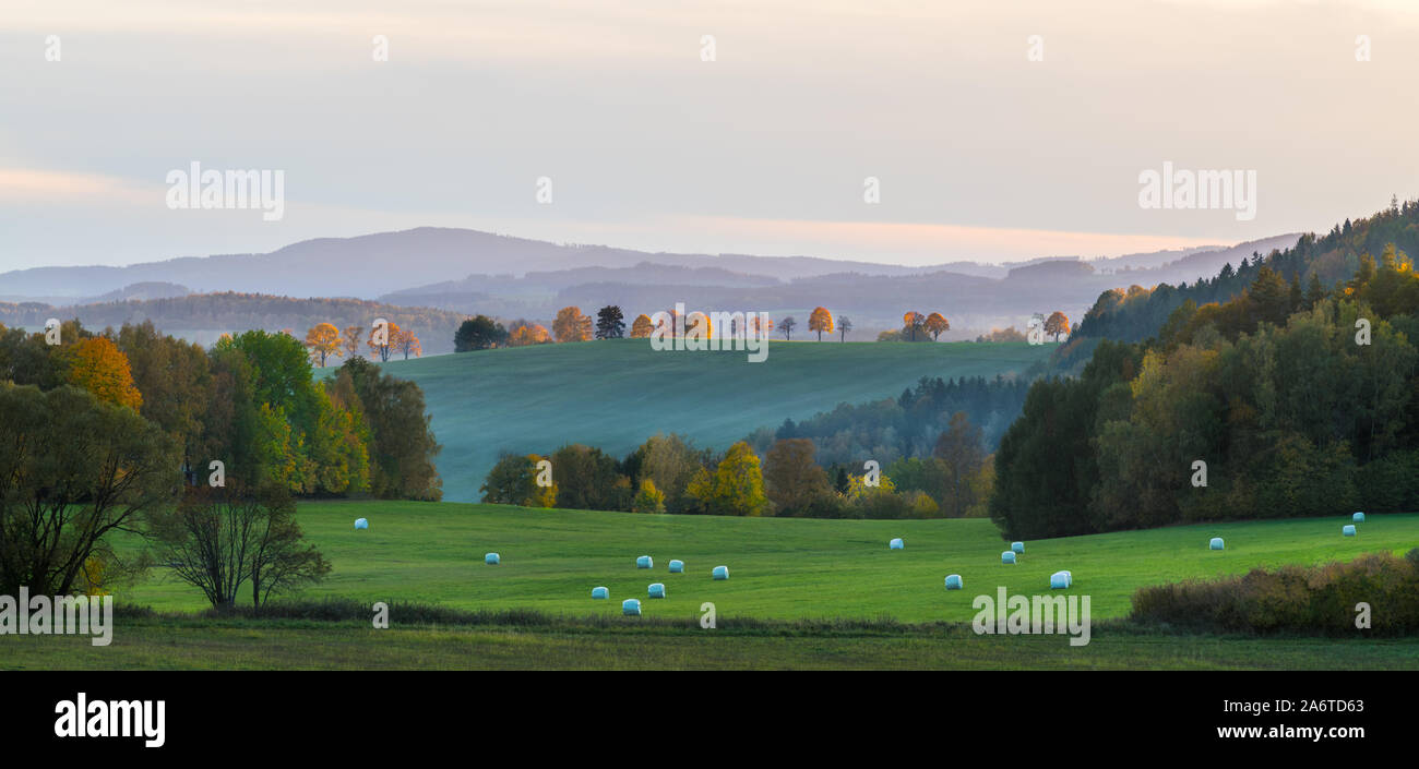 Sonnige Herbst Bäume bei Sonnenuntergang. Panoramablick auf die Landschaft. Weiß verpackt das Heu, das auf der Grünen Wiese, Feld und gelb leuchtenden Baum auf Hügel. Berggipfel. Stockfoto