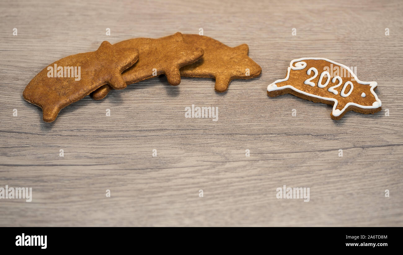 Das neue Jahr 2020. Süßes Schwein geformte Lebkuchen Cookie für gutes Glück. Süße golden Piggies. Duftende Weihnachten Süßigkeiten durch weiße Zuckerglasur auf Holz Hintergrund eingerichtet. Stockfoto