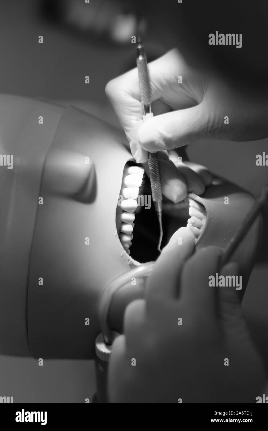 Der Prozess der Lehre zahnmedizinische Behandlung auf ein Dummy an der Zahnmedizinischen Fakultät der Universität Stockfoto