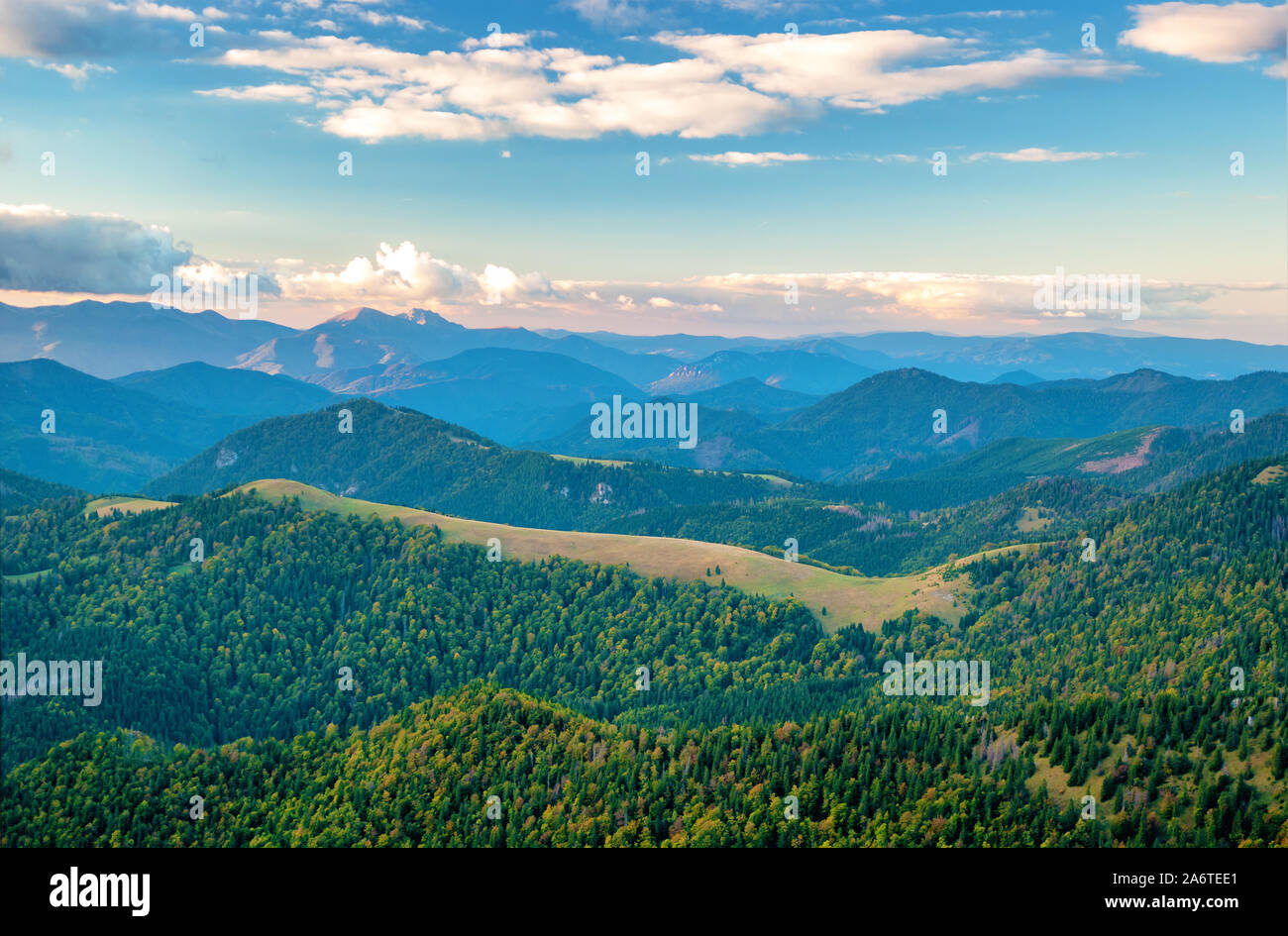 Berg Niedere Tatra Nationalpark Stockfoto