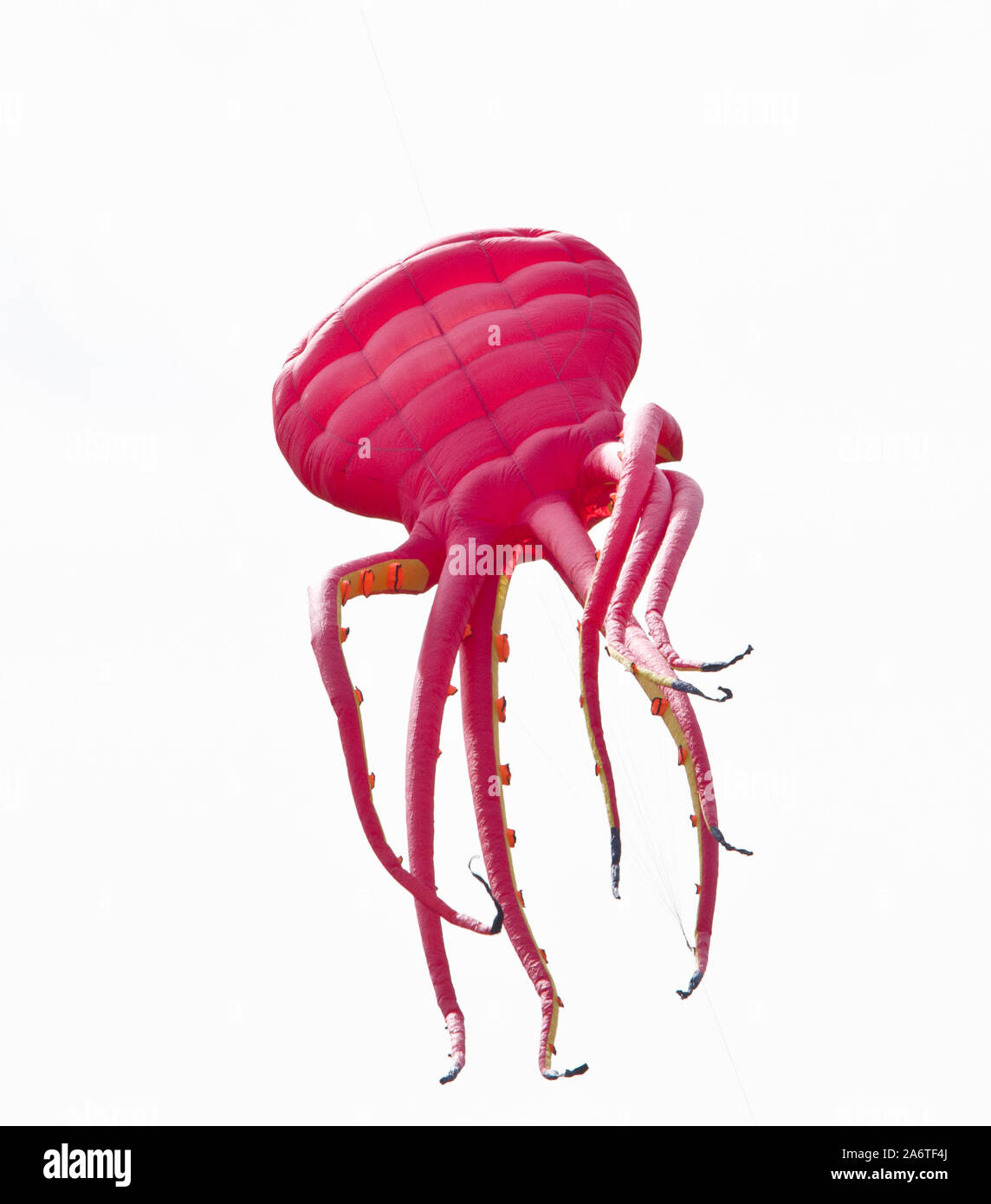 Eine schöne, bunte Lenkdrachen, in den blauen Himmel, hoch oben in den Wind in Form eines Oktopus Stockfoto