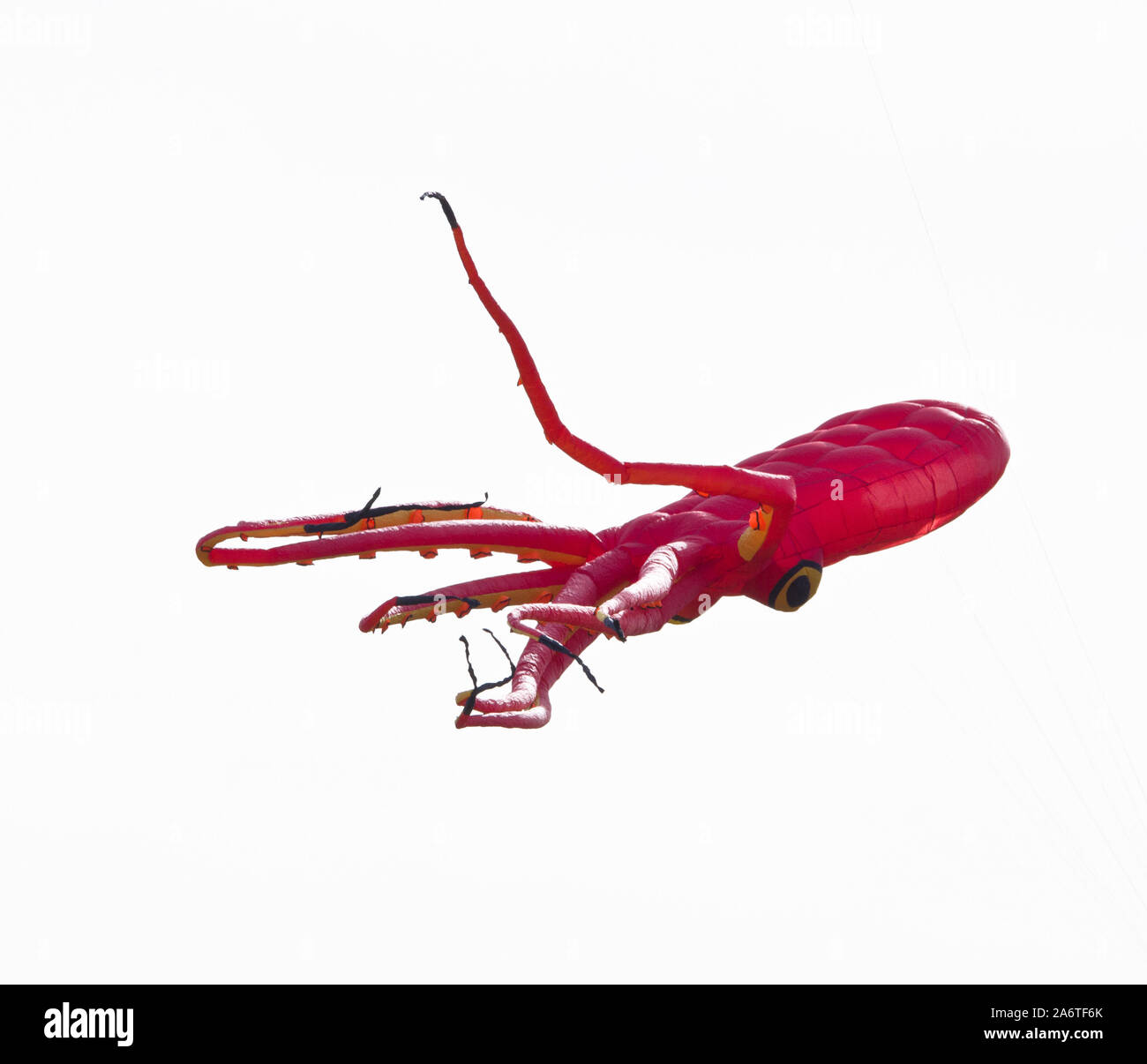 Eine schöne, bunte Lenkdrachen, in den blauen Himmel, hoch oben in den Wind in Form eines Oktopus Stockfoto