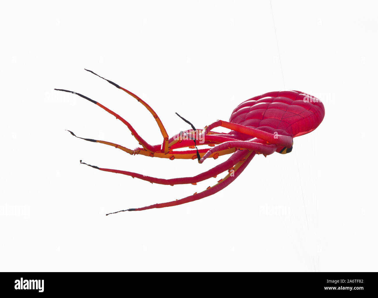 Eine schöne, bunte Lenkdrachen, in den blauen Himmel, hoch oben in den Wind in Form eines Oktopus Stockfoto