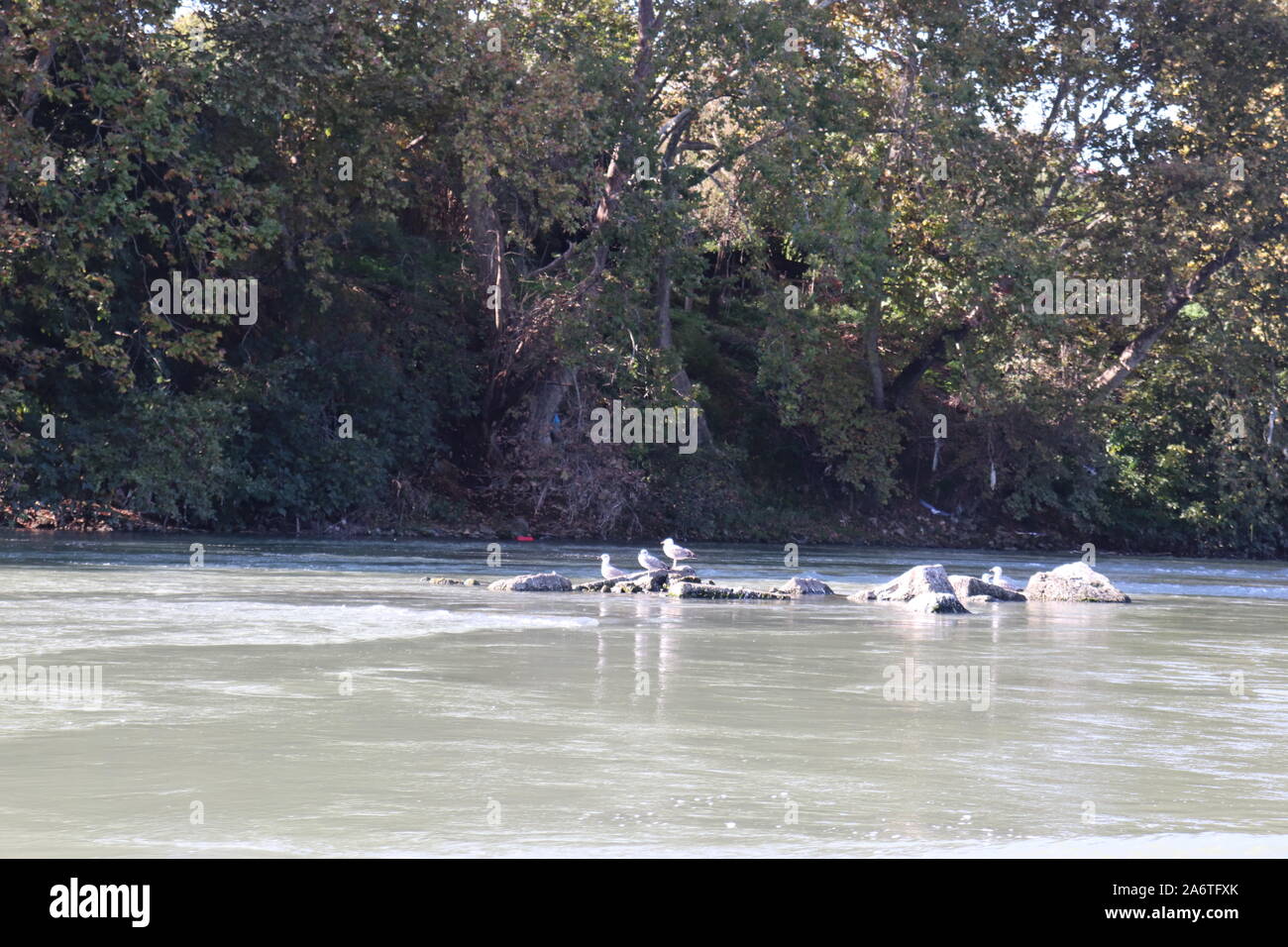 Fiume Tevere - Risalita in gommone - Roma Stockfoto